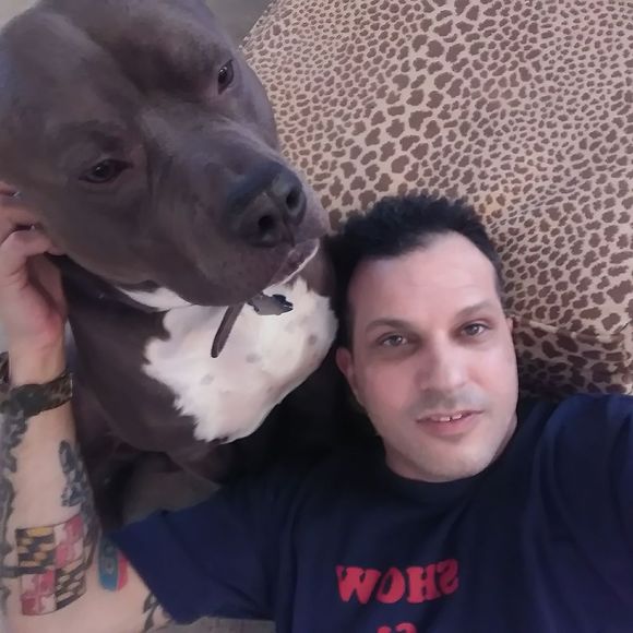 Meet your Posher, Jason - Picture 1 of 1